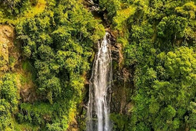 Materuni Waterfall Coffee Tour and Chemka Hot Springs Experience - Why this day trip works so well