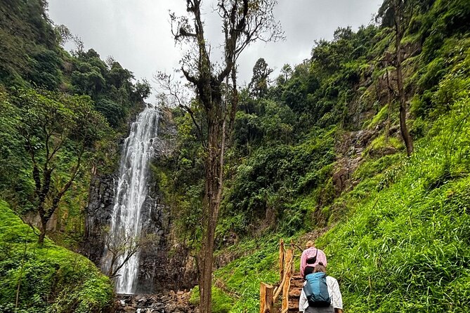 Materuni Waterfall Coffee Tour and Chemka Hot Springs Experience - Timing, weather, and what to bring