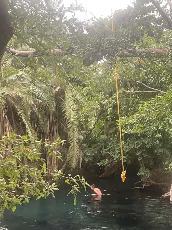 Materuni Waterfall, Coffee Tour & Hot Springs- Maasai tour - Should you book Materuni, Chemka, and the coffee tour?