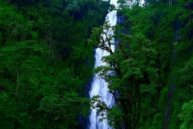 Materuni waterfall - coffee tour OR Chemka hot spring Tour - Walking from Materuni Village to the waterfall