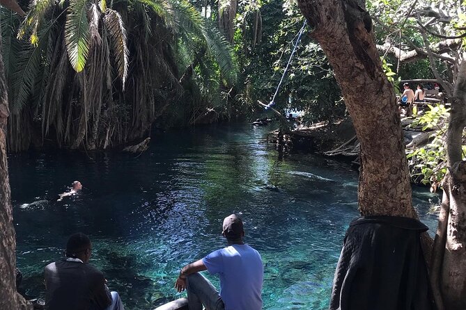 Materuni waterfall - coffee tour OR Chemka hot spring Tour - The drive to Kikuletwa, also called Chemka