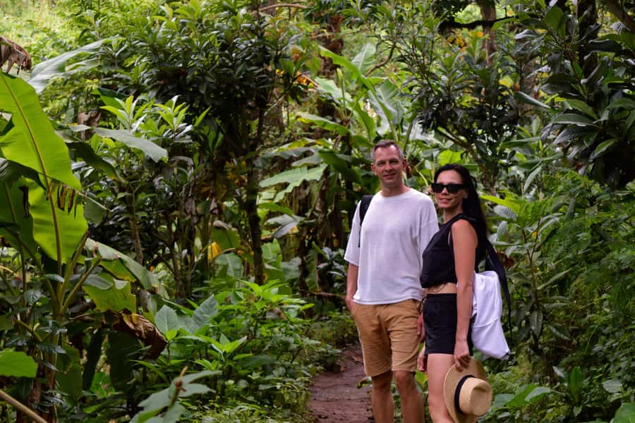 Materuni Waterfalls, Chemka Hot Springs, &/Or Coffee Tour - Key points to know