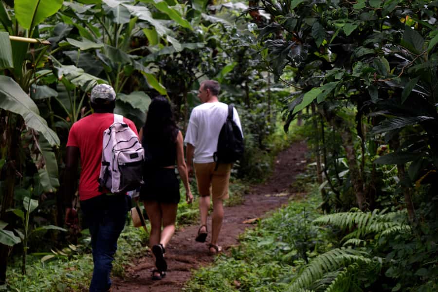 Materuni Waterfalls, Chemka Hot Springs, &/Or Coffee Tour - A full day around Kilimanjaro’s foothills