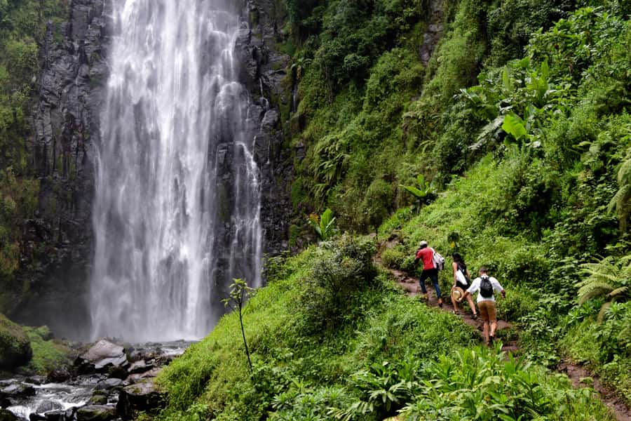 Materuni Waterfalls, Chemka Hot Springs, &/Or Coffee Tour - The coffee lesson at Materuni Village