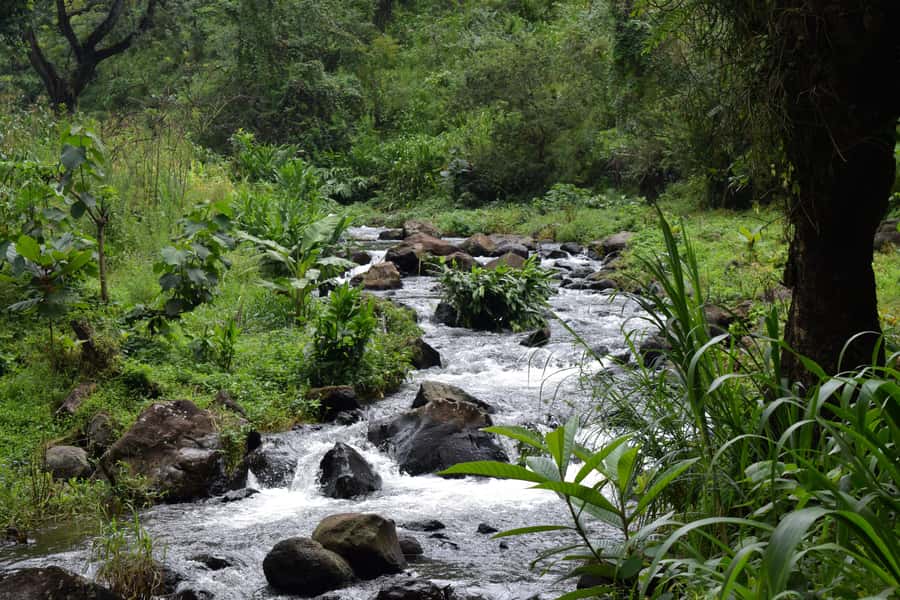 Materuni Waterfalls, Chemka Hot Springs, &/Or Coffee Tour - Swimming at Chemka Hot Springs
