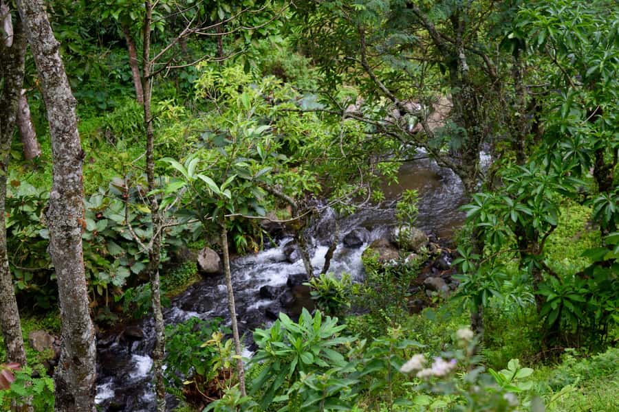 Materuni Waterfalls, Chemka Hot Springs, &/Or Coffee Tour - Guides who shape the day