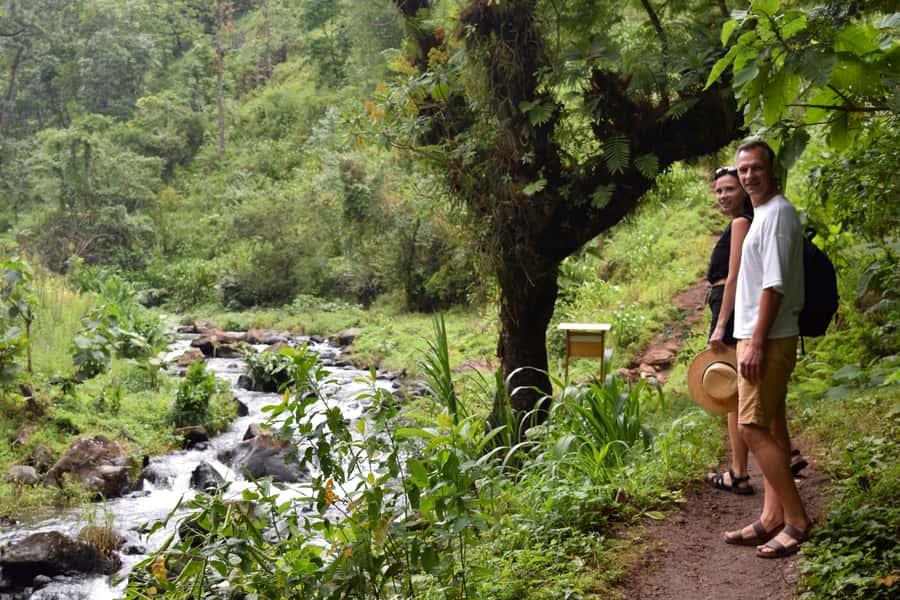 Materuni Waterfalls, Chemka Hot Springs, &/Or Coffee Tour - Transport, timing, and what to bring