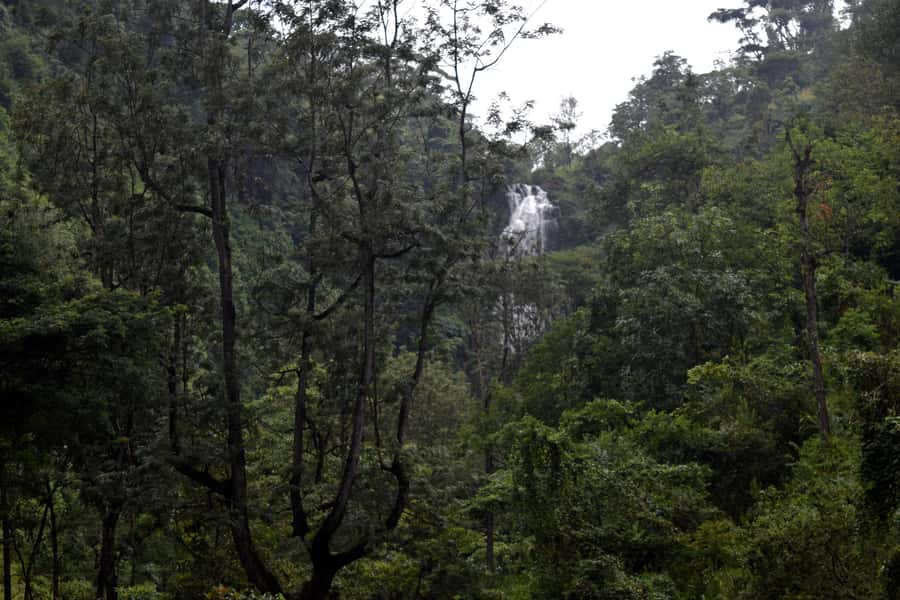 Materuni Waterfalls, Chemka Hot Springs, &/Or Coffee Tour - Is $70 good value?