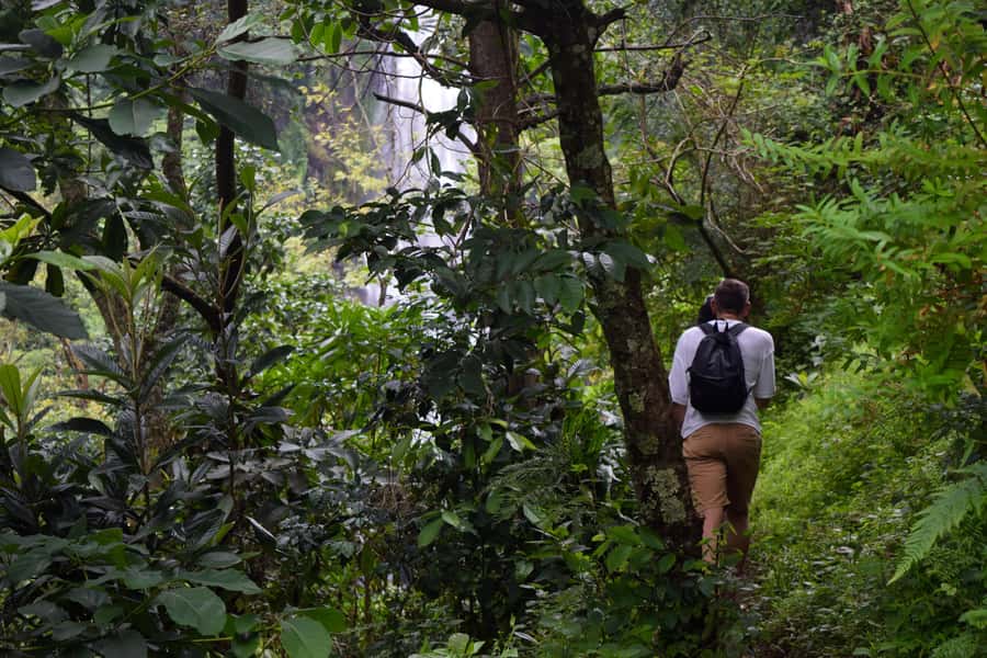Materuni Waterfalls, Chemka Hot Springs, &/Or Coffee Tour - Booking advice and cancellation