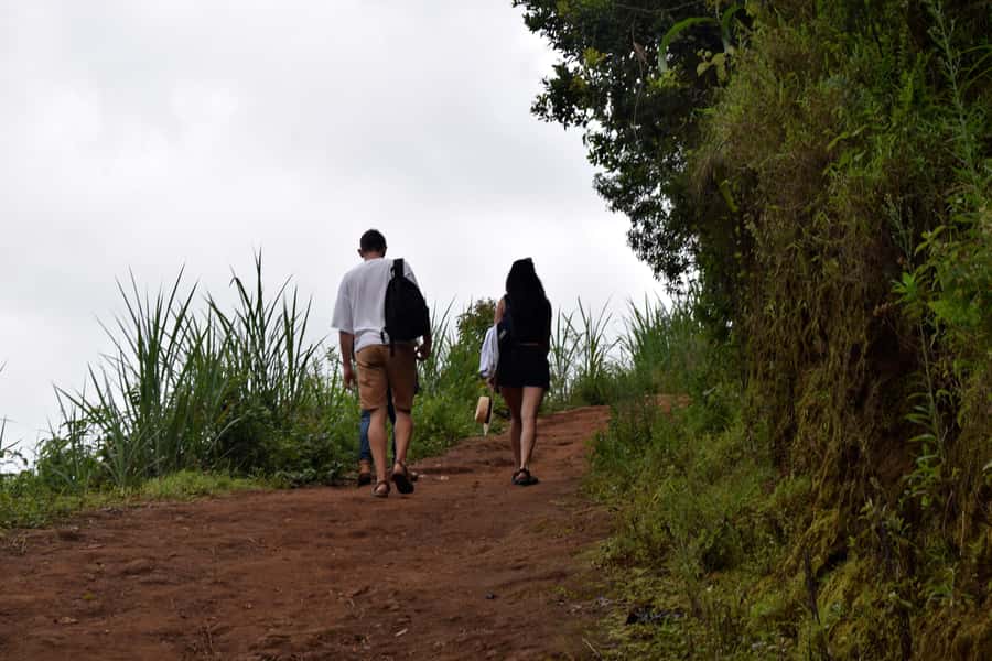 Materuni Waterfalls, Chemka Hot Springs, &/Or Coffee Tour - Walking to Materuni Waterfalls
