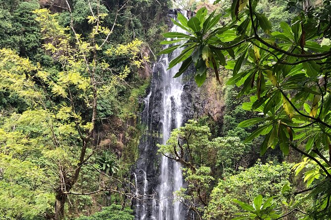 Materuni waterfalls coffee tour & Chemka hot springs Day trip - Is $95 per person good value?