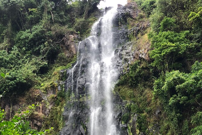 Materuni waterfalls coffee tour & Chemka hot springs Day trip - Who will enjoy this day most?