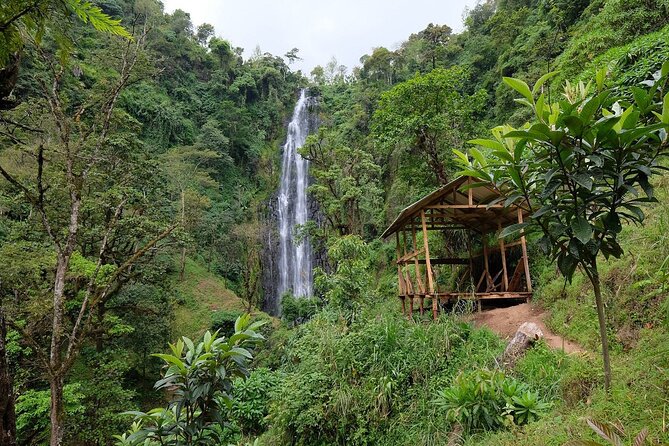 Materuni waterfalls,coffee tour & Kikuletwa(Chemka)Hot Springs - Key points to know before you book