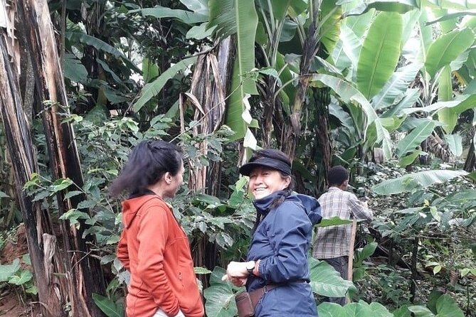 Materuni waterfalls,coffee tour & Kikuletwa(Chemka)Hot Springs - Comfort, clothing, and timing