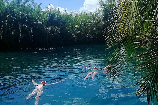 Materuni Waterfalls, coffee tour & Kikuletwa Hot Springs - Why this Arusha day trip works so well