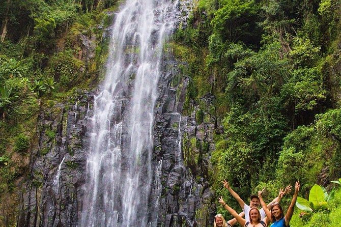 Materuni Waterfalls, coffee tour & Kikuletwa Hot Springs - The guides can shape the whole day