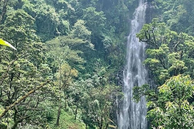 Materuni Waterfalls, Kikuletwa Chemka Hot springs, Coffee tour - Key points to know before you book