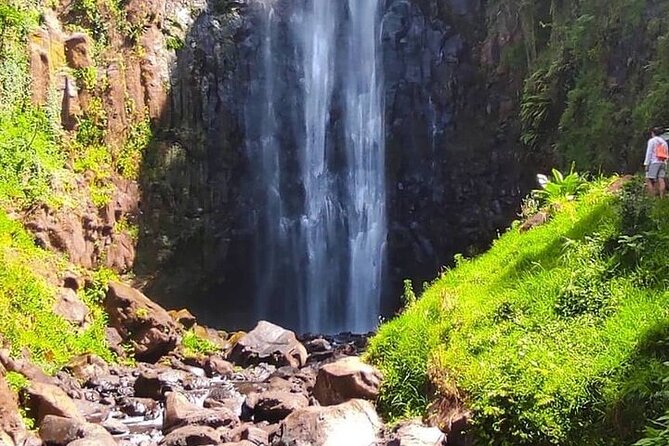 Materuni Waterfalls, Kikuletwa Chemka Hot springs, Coffee tour - What the $100 price covers