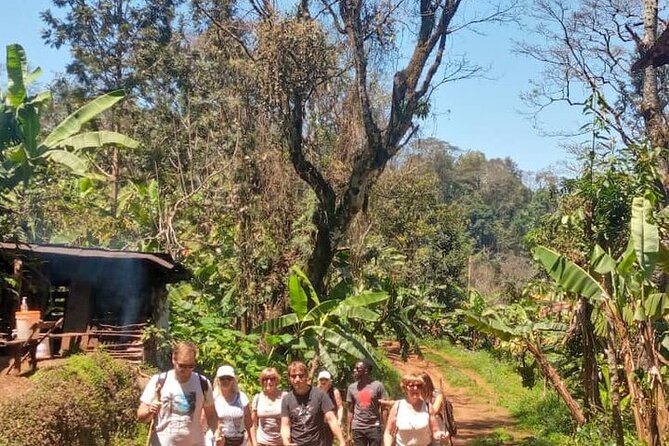 Materuni Waterfalls, Kikuletwa Chemka Hot springs, Coffee tour - Who will enjoy this day most