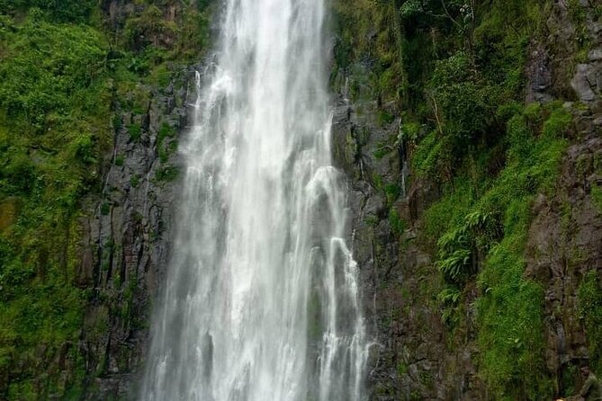 Materuni Waterfalls, Kikuletwa Chemka Hot springs, Coffee tour - Materuni Village and the Chagga coffee tradition