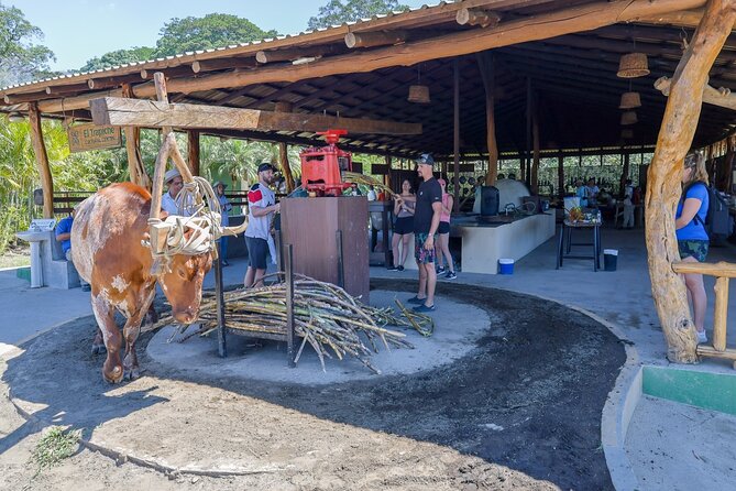 Mega Combo Adventure - Horseback riding through Guanacaste scenery