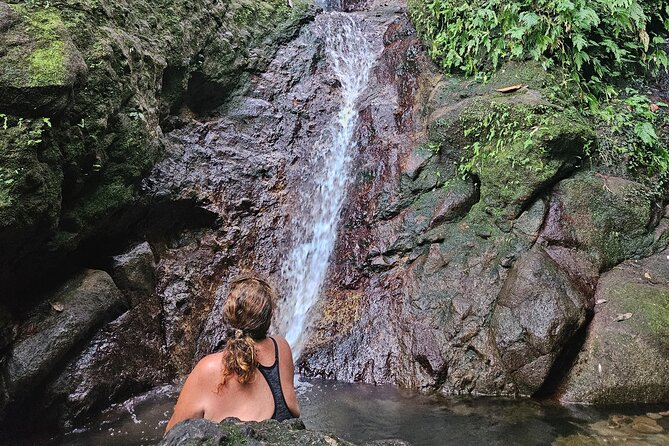 Mindfulness Rainforest Hike, Forest Bathing, Volcanic Hot Springs - A rainforest walk built around slowing down