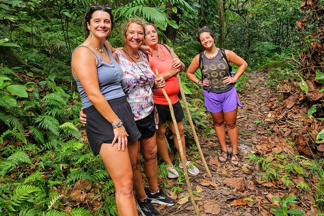 Mindfulness Rainforest Hike, Forest Bathing, Volcanic Hot Springs - What the rainforest hike feels like