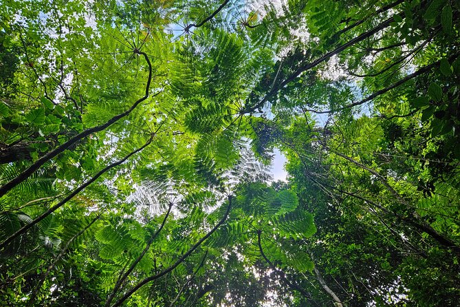 Mindfulness Rainforest Hike, Forest Bathing, Volcanic Hot Springs - Therapeutic stretches and self-massage guidance