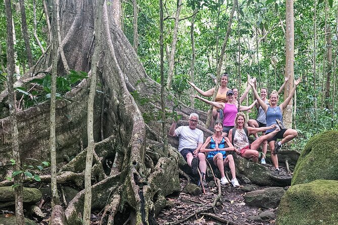 Mindfulness Rainforest Hike, Forest Bathing, Volcanic Hot Springs - Small-group attention instead of a crowded tour