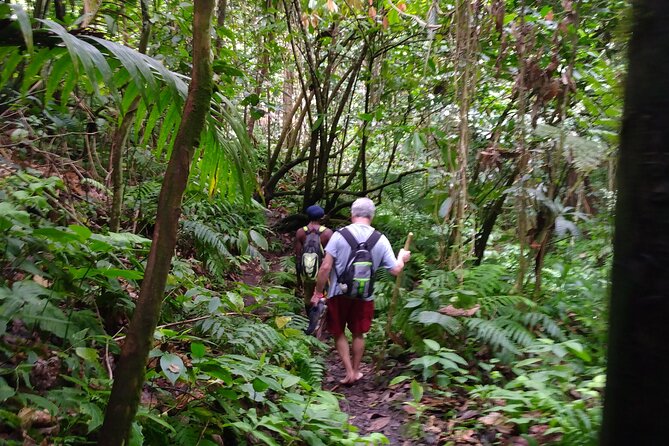 Mindfulness Rainforest Hike, Forest Bathing, Volcanic Hot Springs - The meeting point and the five-hour schedule
