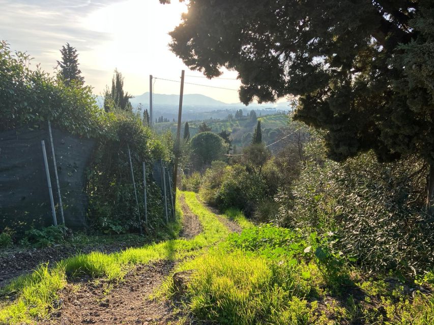 MONTECATINI TERME - E-BIKE ADVENTURE IN VAL DI NIEVOLE - Key points to know before booking