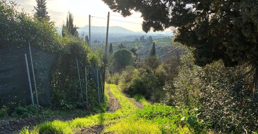 MONTECATINI TERME - E-BIKE ADVENTURE IN VAL DI NIEVOLE - What the e-bike changes
