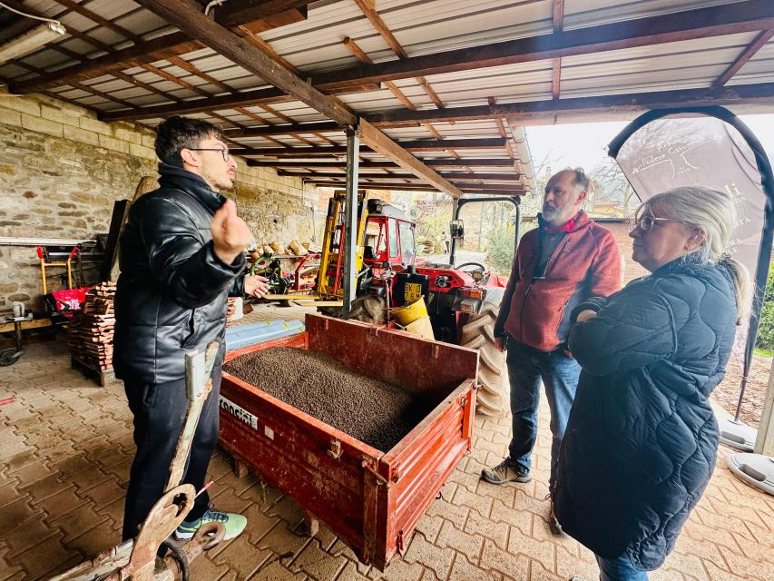Montecatini Terme: Olive Grove Tour with Oil Tasting - Guides who make the technical side accessible