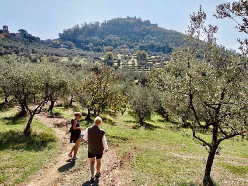 Montecatini Terme: Olive Grove Tour with Oil Tasting - Starting at the olive groves above Montecatini Terme