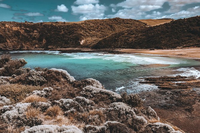Mornington Peninsula Hike and Hot Springs Day Tour - 8 people max - Bushrangers Bay is the main walking event