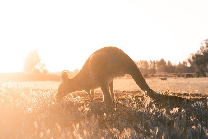 Mornington Peninsula Hike and Hot Springs Day Tour - 8 people max - The $189 price and what it covers