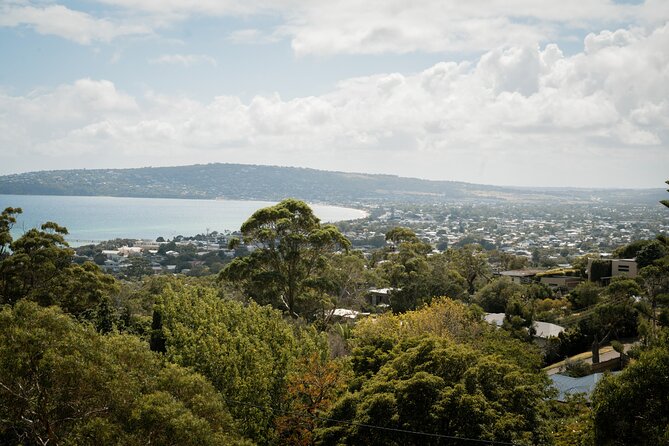 Mornington Peninsula Small Group Thermal Springs w/ Lunch & Wine - The trip back to Melbourne