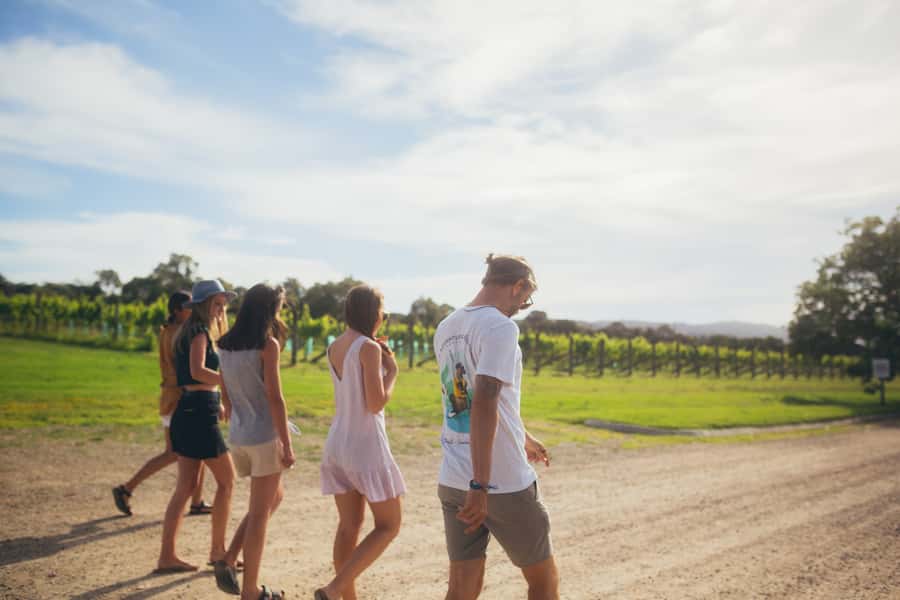 Mornington Peninsula: SUP, Hike, & Hot Springs Trip w/ Lunch - Why this day works so well around Mornington Peninsula