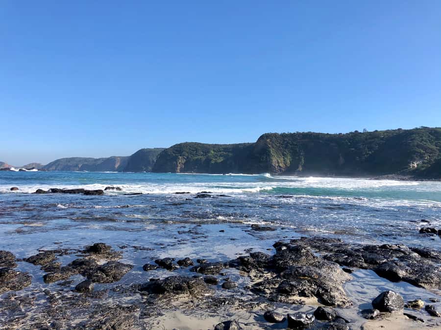 Mornington Peninsula: SUP, Hike, & Hot Springs Trip w/ Lunch - Wine tasting and the local-produce picnic