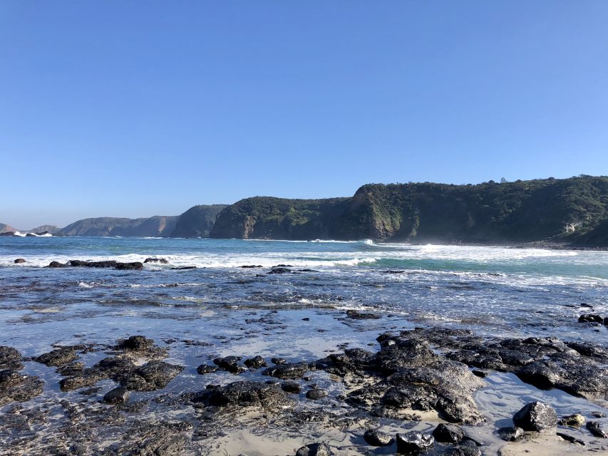 Mornington Peninsula: SUP, Hike, & Hot Springs Trip w/ Lunch - What the $204 price really covers