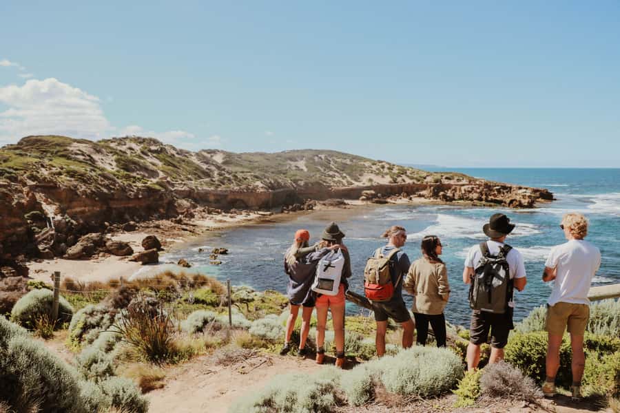 Mornington Peninsula: SUP, Hike, & Hot Springs Trip w/ Lunch - Starting beside McCrae Lighthouse and the bathing boxes