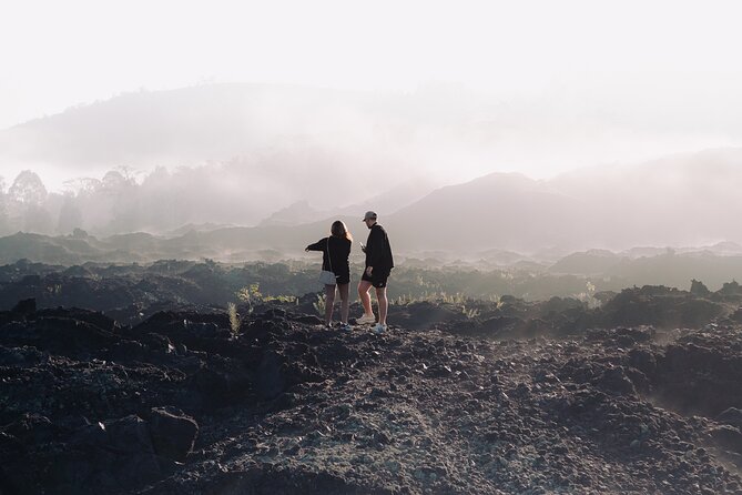 Mount Batur Sunrise Jeep Tour with Optional Activities - Who will enjoy this best