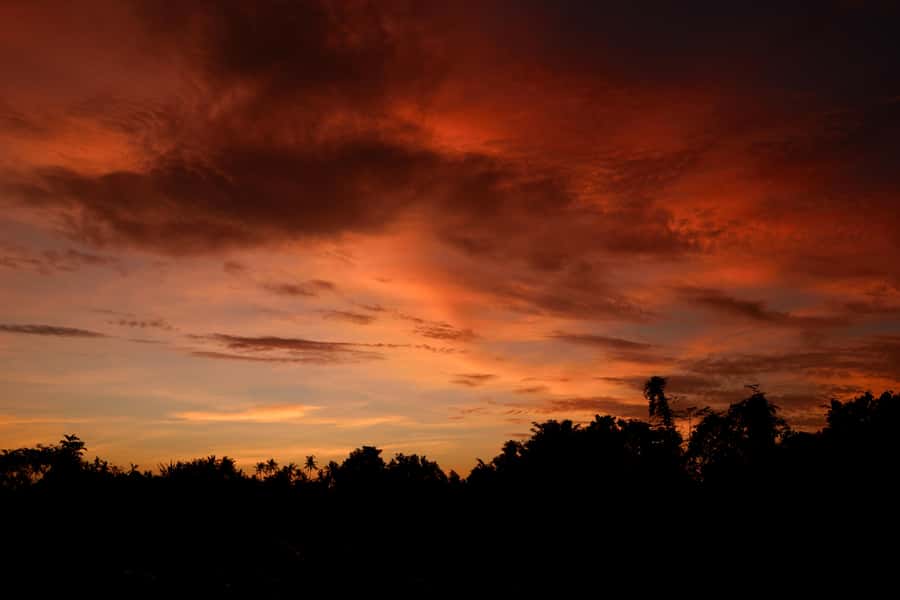 Mount Batur Sunrise Trek & Hot Springs Tour - Key points to know before you book