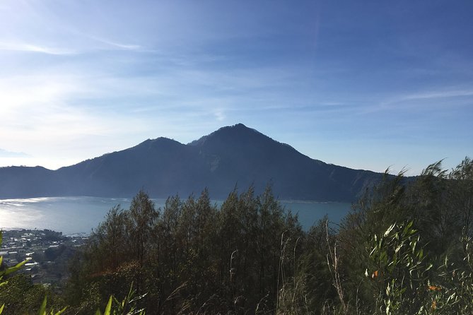Mount Batur Sunrise Trekking & Hot Spring Tour - Touring a Balinese coffee plantation