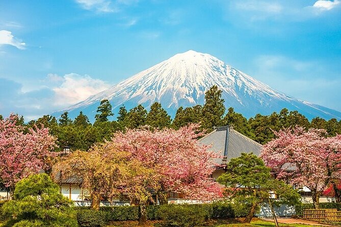 Mount Fuji 5th Station, Arakurayama, Oshino Hakkai and Hot Spring - Two different Mount Fuji views, depending on the month