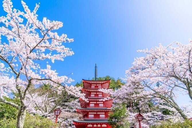 Mount Fuji 5th Station, Arakurayama, Oshino Hakkai and Hot Spring - Gotemba shopping or Kinohana no Yu bathing