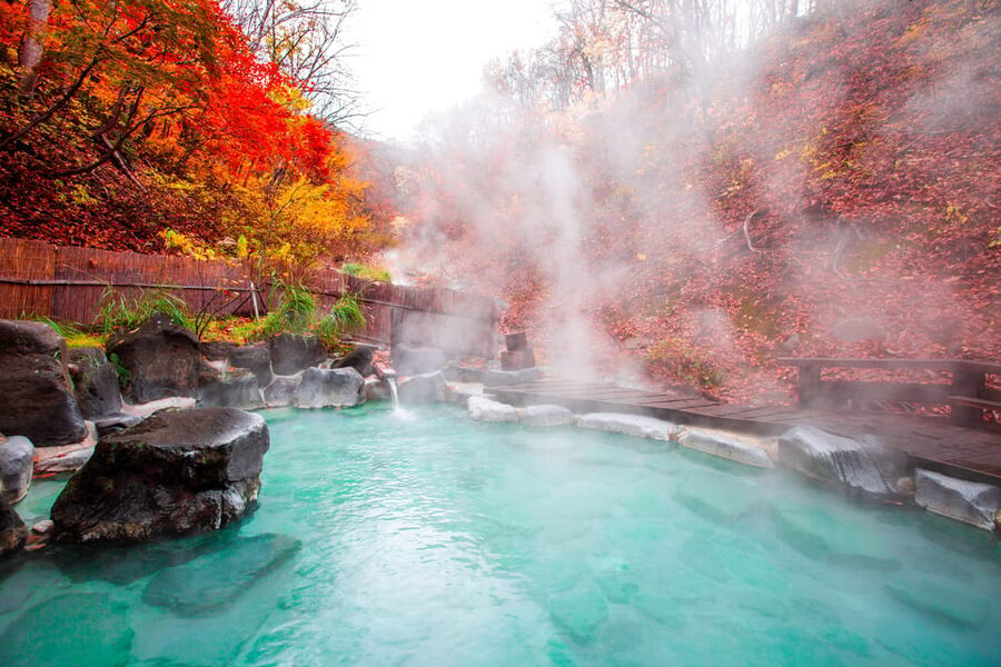 Mount Fuji - Hakone & Onsen Full Day Private Tour - A big Hakone day from your Tokyo hotel