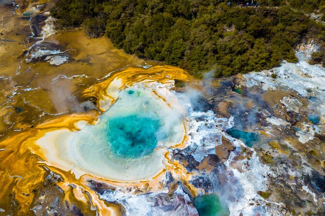 Mount Tarawera Orakei Korako Thermal Explorer - Is $493.36 a fair price?