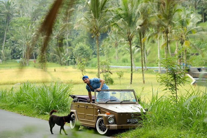 Mt Batur Sunrise Jeep & Natural Hot Spring Tour - Black lava and Mount Batur’s volcanic past