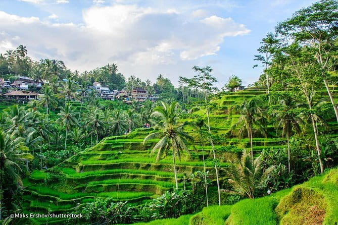 Mt Batur Sunrise Jeep & Natural Hot Spring Tour - What the $65 price includes